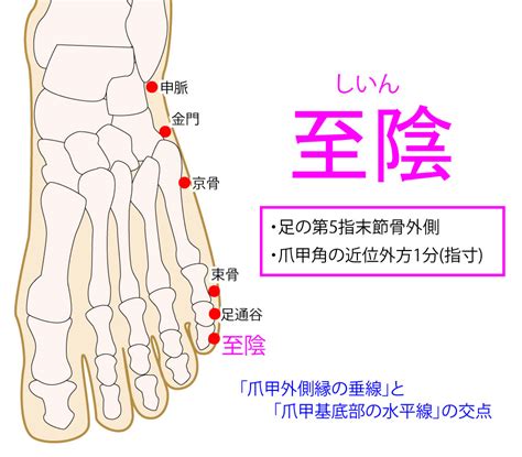 至陰